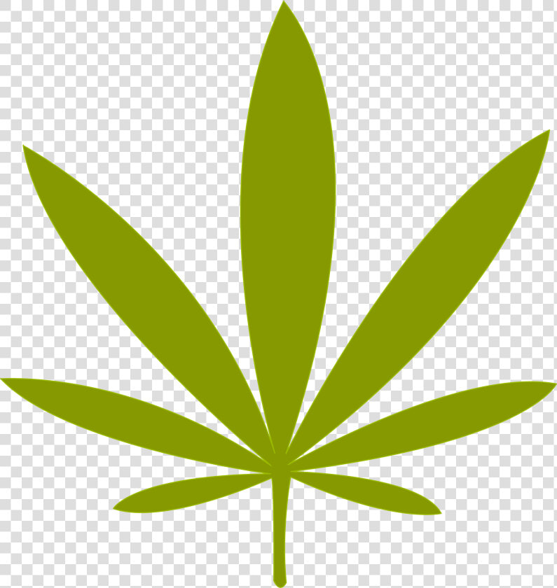 Weed Leaf Png File Simple Marijuana Leaf   Cannabis Legal Png  Transparent PngTransparent PNG