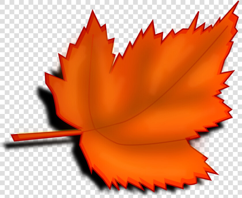 Fall Page Borders   Fall Leaf Clipart Transparent Background  HD Png DownloadTransparent PNG