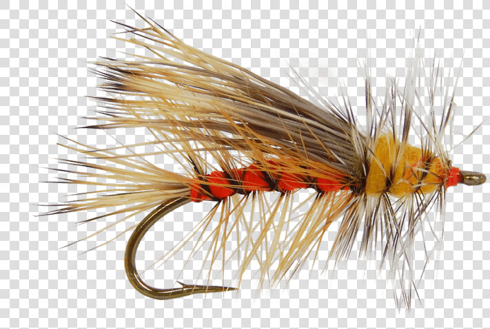 Trout Clipart Dry Fly   Fly Fishing Flies Transparent  HD Png DownloadTransparent PNG