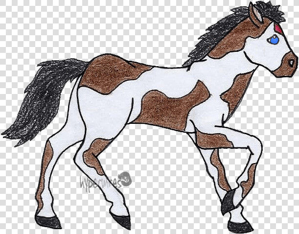 Foal  HD Png DownloadTransparent PNG