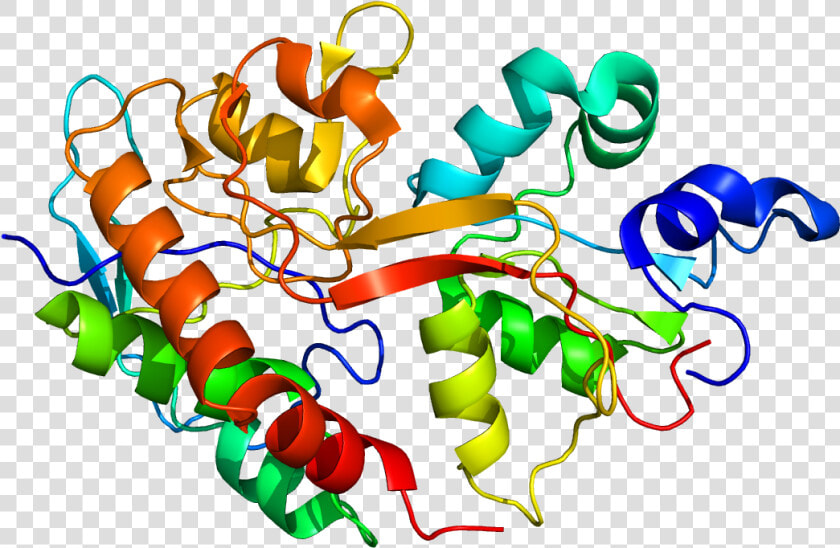 Protein Grin2b Pdb 1s11   Grin2b Gene  HD Png DownloadTransparent PNG