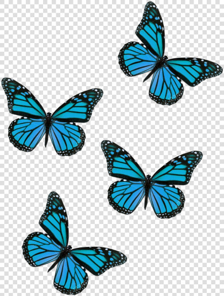  butterflies  butterfliesstickerremix  butterfly  aesthetic   Flying Pink Butterfly Png  Transparent PngTransparent PNG