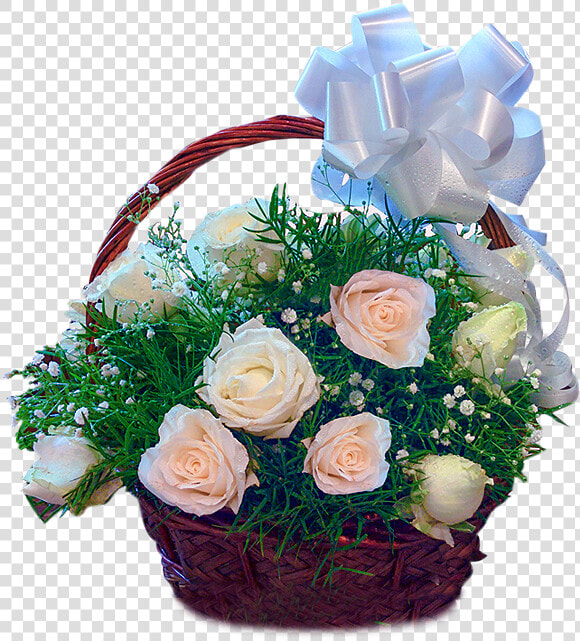 24 White Roses Basket   Garden Roses  HD Png DownloadTransparent PNG