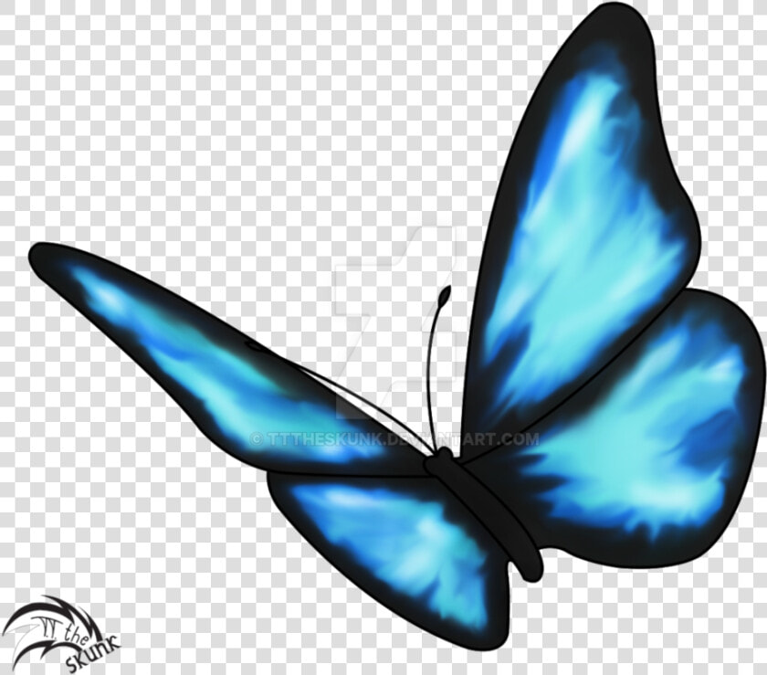 Life Is Strange Butterfly Effect Drawing Insect   Butterfly Drawing Life Is Strange  HD Png DownloadTransparent PNG