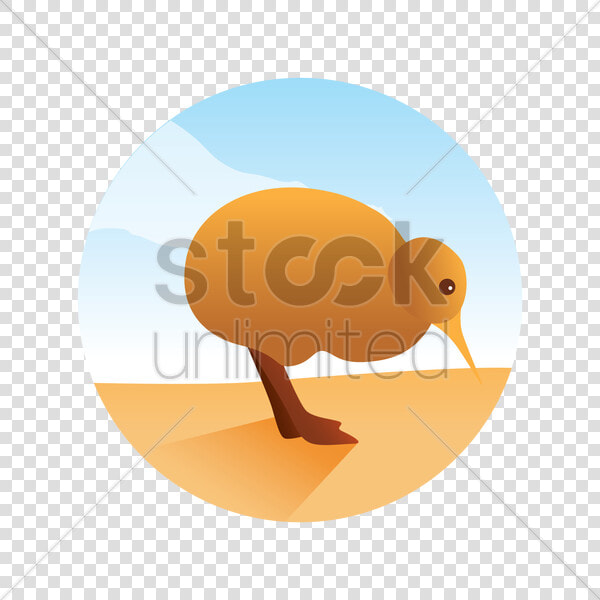 Kiwi Bird Clipart Transparent   Sandpiper  HD Png DownloadTransparent PNG