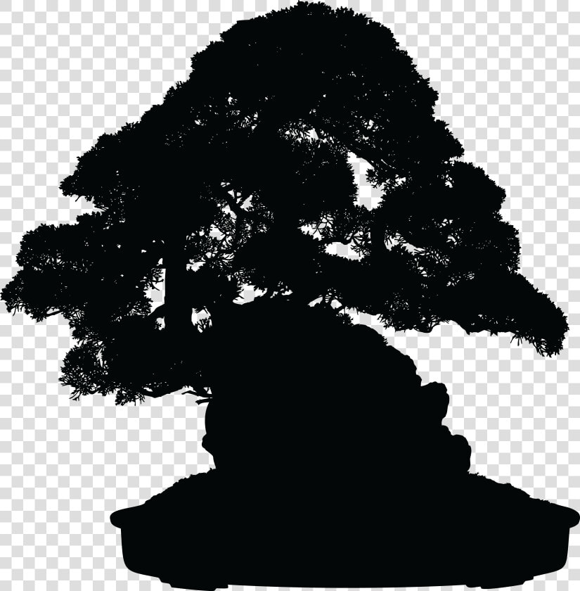 Free Clipart Of A Silhouetted Bonsai Plant   Bonsai Png  Transparent PngTransparent PNG