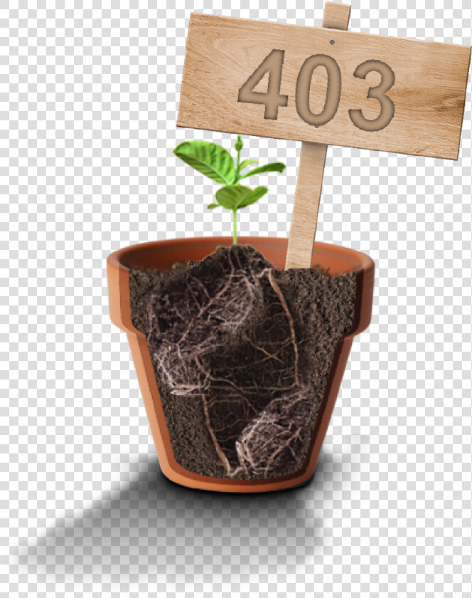 Flowerpot  HD Png DownloadTransparent PNG