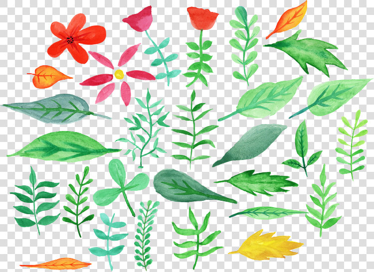 Descargar Flores Acuarela   Flores En Acuarela Png  Transparent PngTransparent PNG