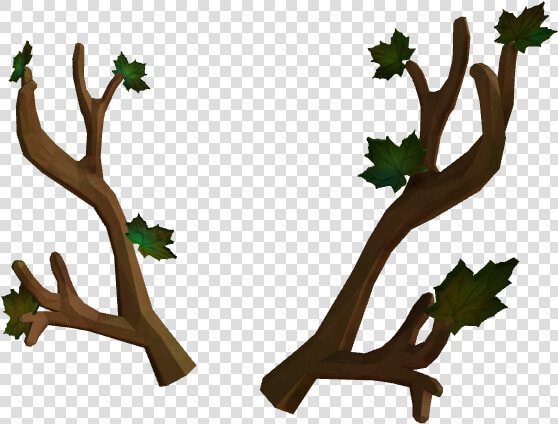 Leafy Antlers   Leafy Antlers Of Autumn  HD Png DownloadTransparent PNG