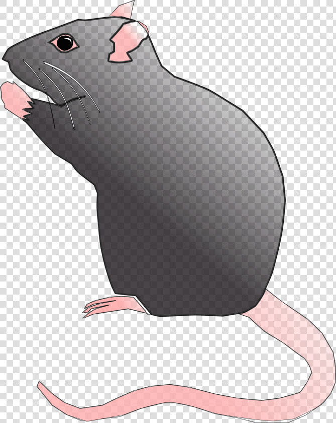 Rat Rodent Pest Mouse Animal Png Image   Cute Rat Pic Cartoon Png  Transparent PngTransparent PNG