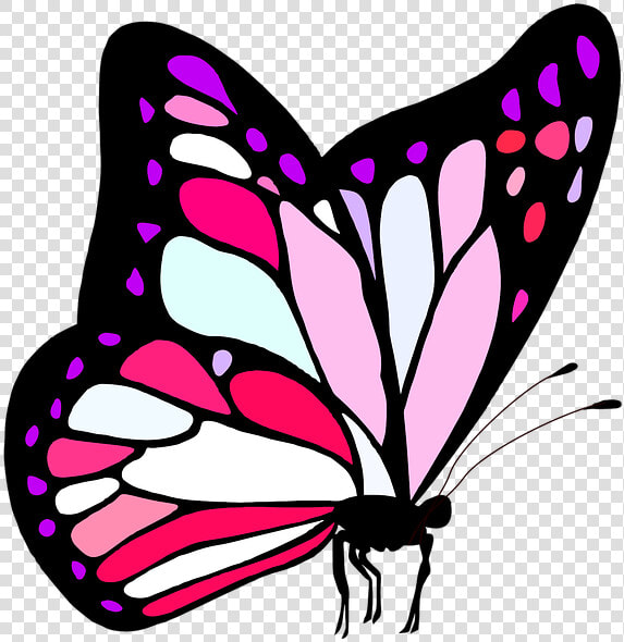 Butterfly  Pink  Cute  Girl  Feminine  Nature  Insect  HD Png DownloadTransparent PNG