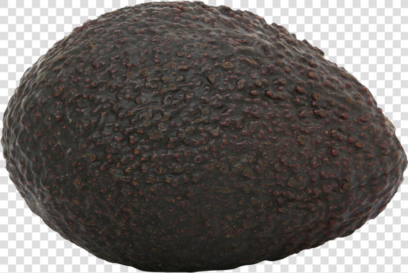 Avocado Png   Avocado  Transparent PngTransparent PNG