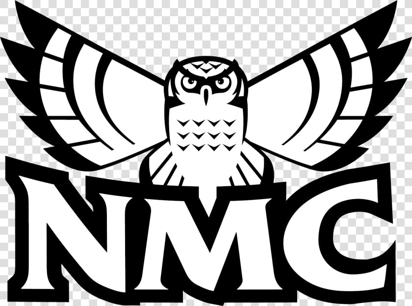 Nmc Hawk Owl  HD Png DownloadTransparent PNG