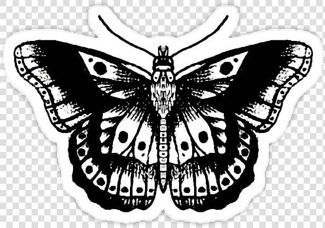  harrystyles  mariposa  tumblr  hipster   Harry Styles Tattoos Png  Transparent PngTransparent PNG