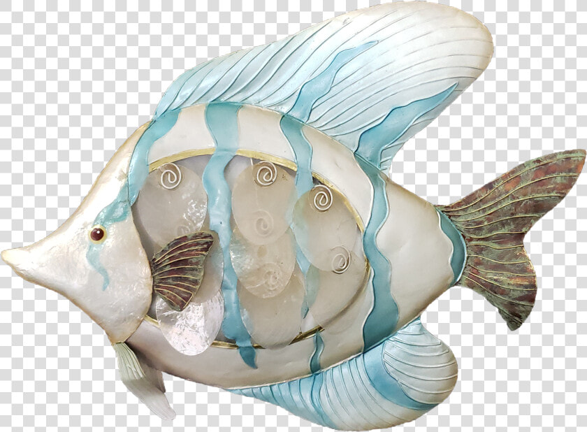 Seaside Tropical Fish Wall Art   Conch  HD Png DownloadTransparent PNG