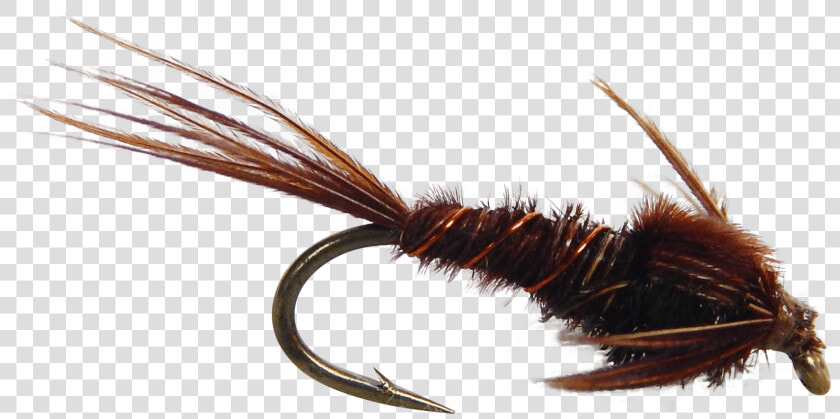 Artificial Fly Pheasant Tail Nymph Fly Fishing Fly   Artificial Fly  HD Png DownloadTransparent PNG