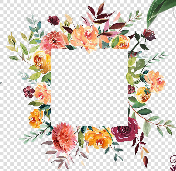 Watercolor Hand Drawn Abstract Flower Png   Square Floral Frame Png  Transparent PngTransparent PNG