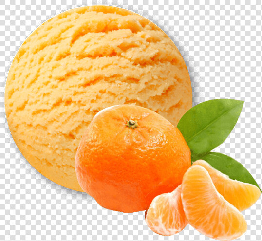 Sorbet De Mandarina 4 Litres   Sorbet Png  Transparent PngTransparent PNG