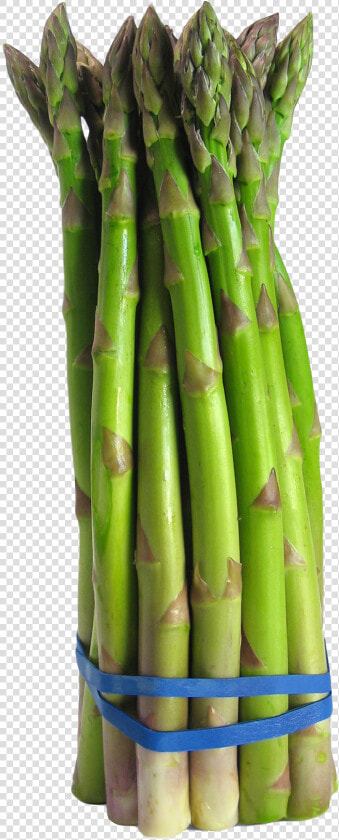 Asparagus Png  Transparent PngTransparent PNG