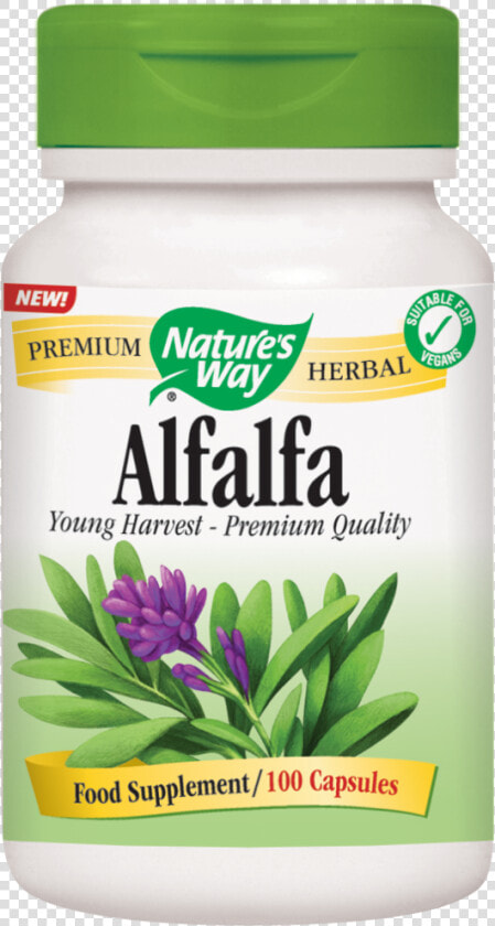 Alfalfa Capsules   Nature  39 s Way Licorice Root  HD Png DownloadTransparent PNG