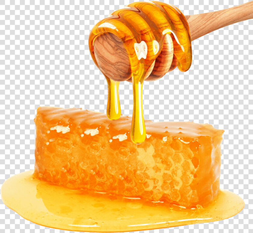 Download Honey Png File   Honey Png  Transparent PngTransparent PNG