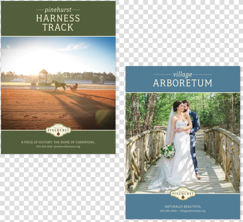 Vop brochures   Bride  HD Png DownloadTransparent PNG