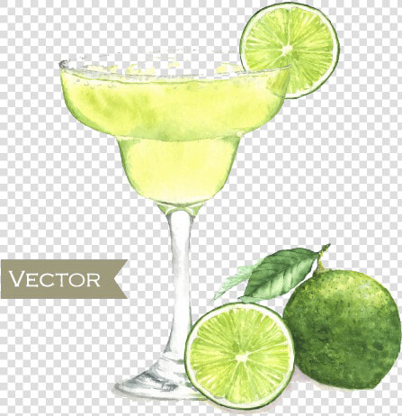 Watercolor Margarita Png   Margarita Drawing  Transparent PngTransparent PNG