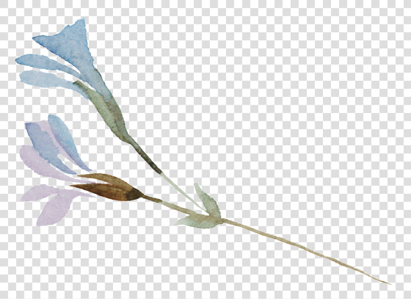 This Graphics Is Elf Flower Branch Cartoon Transparent   Field Marigold  HD Png DownloadTransparent PNG