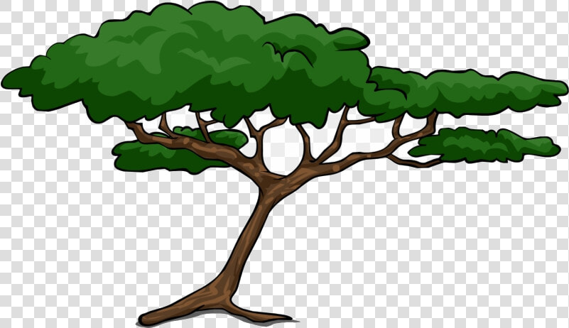 Safari Trees Tree Clipart Acacia Transparent Png   African Safari Tree Silhouette  Png DownloadTransparent PNG