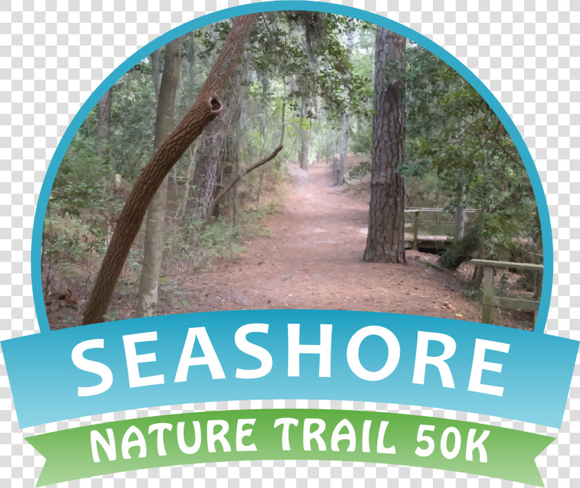 Seashore Nature Trail 50k  HD Png DownloadTransparent PNG