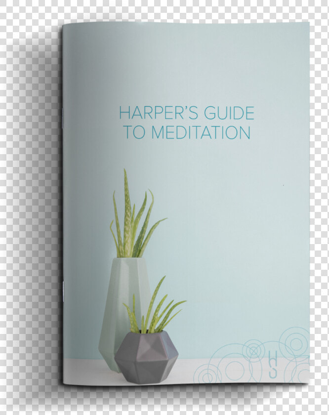 Meditation   Agave  HD Png DownloadTransparent PNG