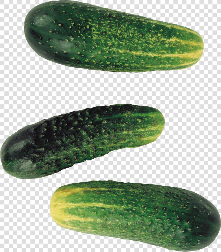 Pepino   Pickled Cucumber  HD Png DownloadTransparent PNG