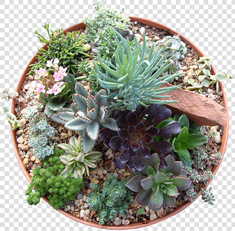 Flowerpot  HD Png DownloadTransparent PNG