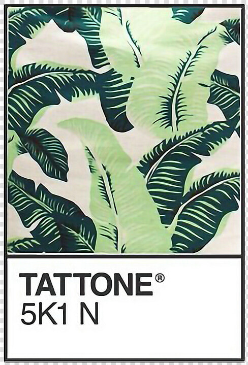  pantone  leaves  pattern  leaf  nature  jungle  tropical   Green Overlay Aesthetic Png  Transparent PngTransparent PNG