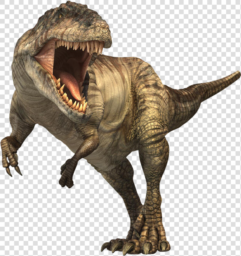 Stegosaurus T Rex Dinosaurs  HD Png DownloadTransparent PNG