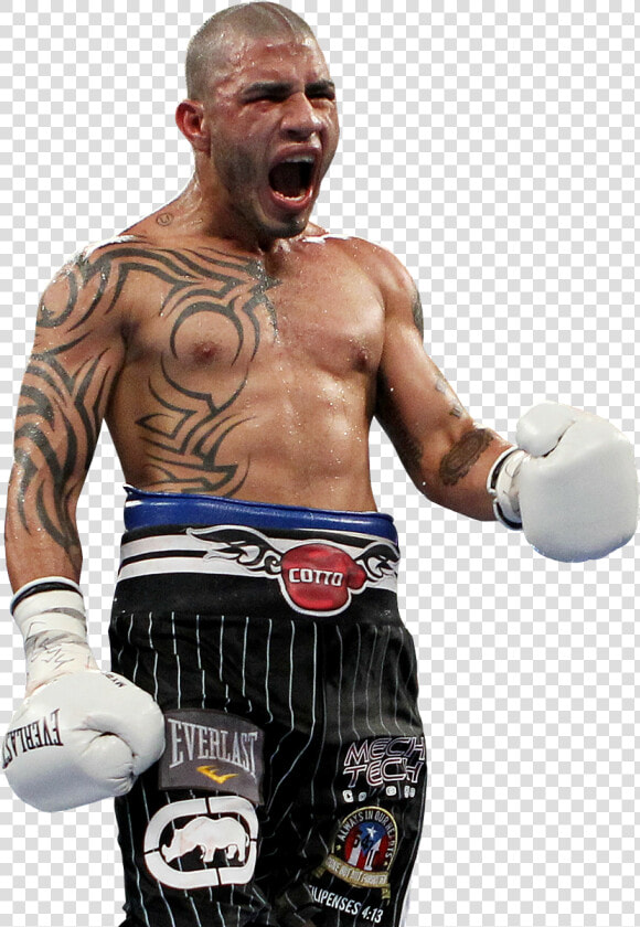 Lutador De Boxe   Boxing  HD Png DownloadTransparent PNG