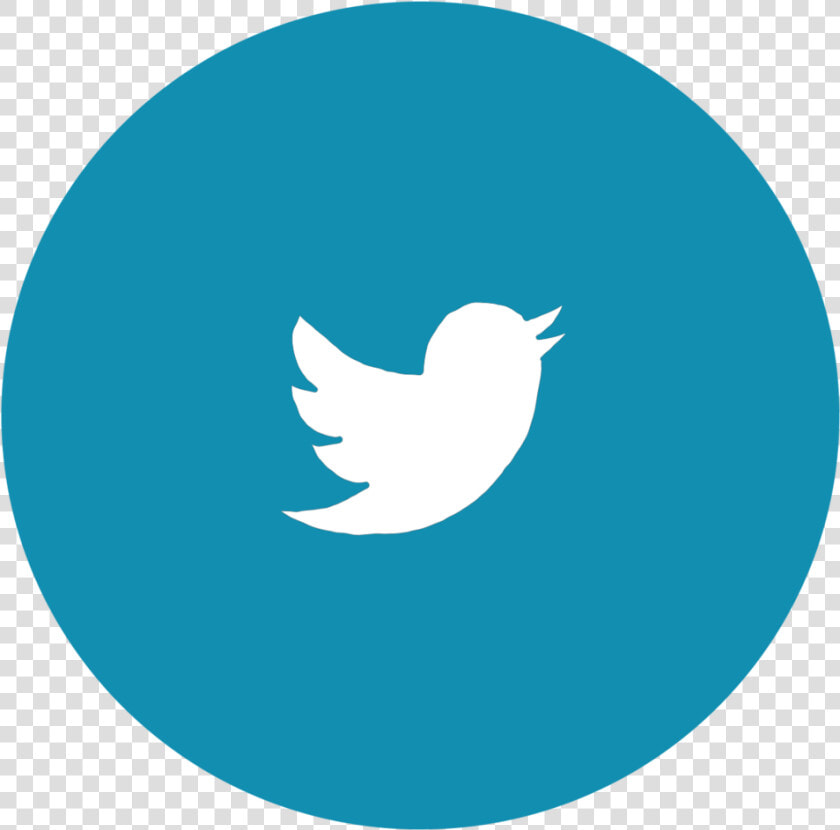 Twitter Icon   Green Twitter Icon Transparent  HD Png DownloadTransparent PNG