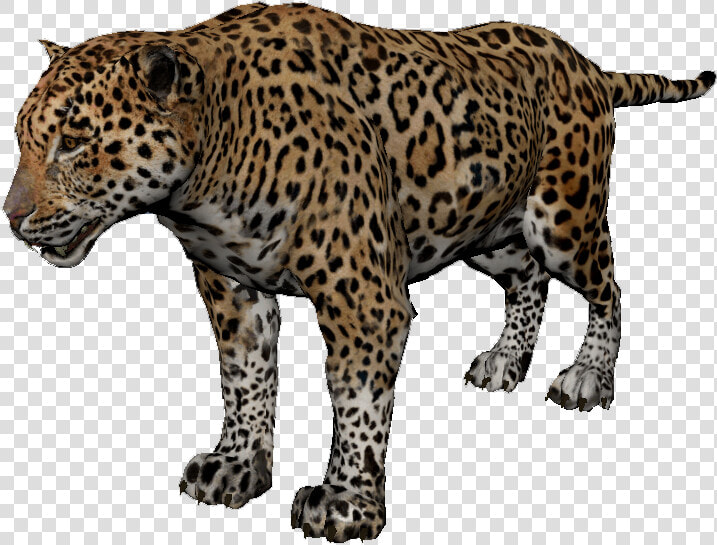 Jaguar   Green Hell Jaguar  HD Png DownloadTransparent PNG