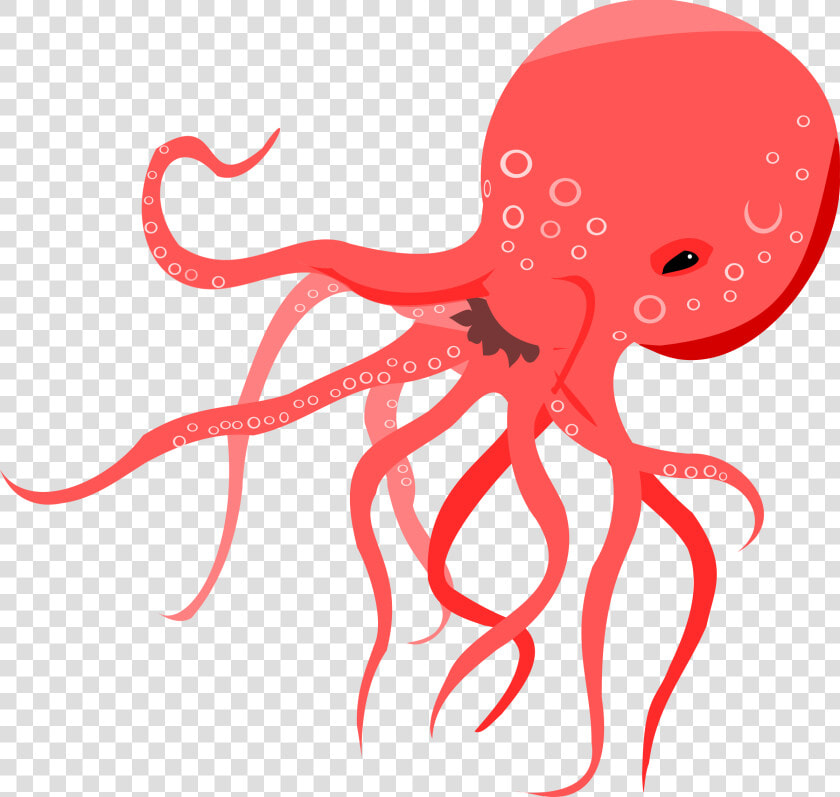 Transparent Octopus Clipart Png   Octopus Clipart Png  Png DownloadTransparent PNG