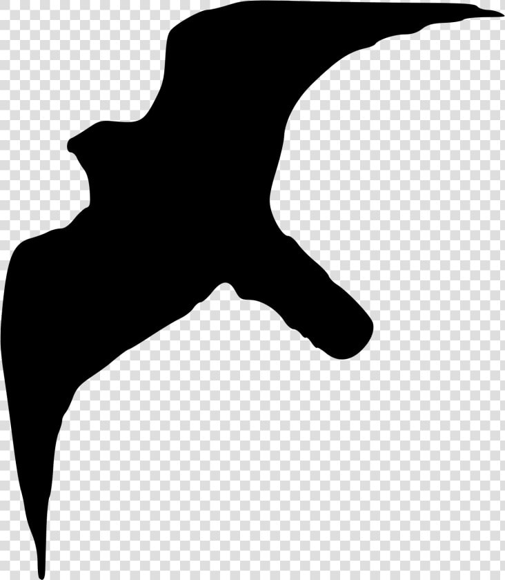 Filefalco Peregrinus Silhouette   Silhouette Of Peregrine Falcon  HD Png DownloadTransparent PNG