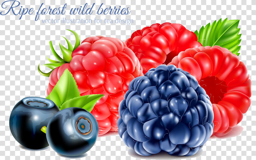 Frutti Di Bosco Raspberry Fruit  HD Png DownloadTransparent PNG