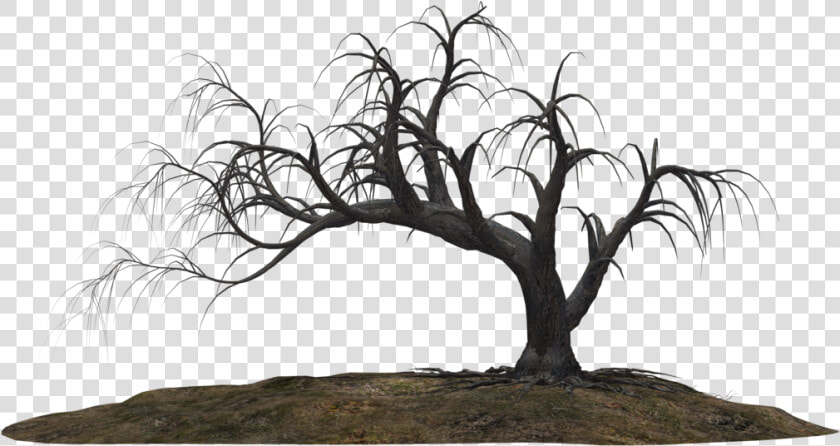 Creepy Tree 19 By Wolverine041269   Scary Tree Png  Transparent PngTransparent PNG