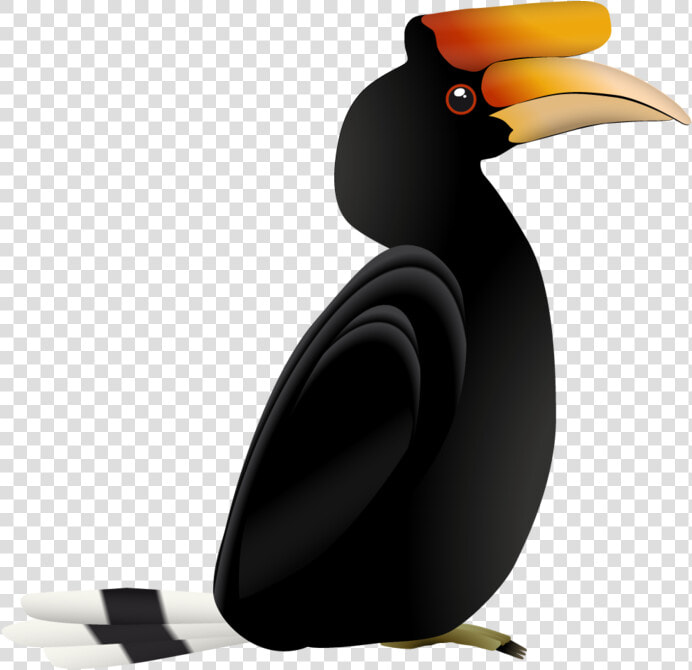 Hornbill  HD Png DownloadTransparent PNG