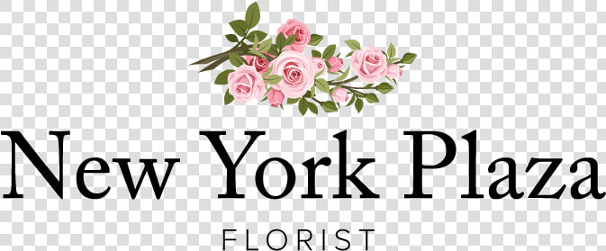 New York Plaza Florist   Garden Roses  HD Png DownloadTransparent PNG