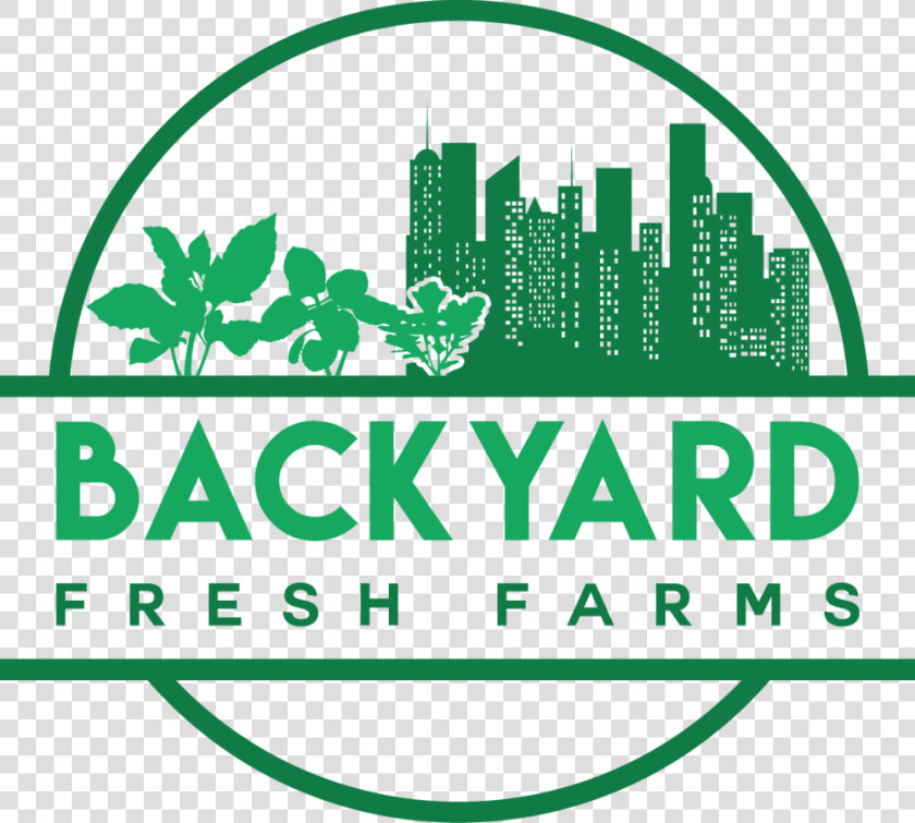 Logo 2 3   Pak  39 s Backyard  HD Png DownloadTransparent PNG