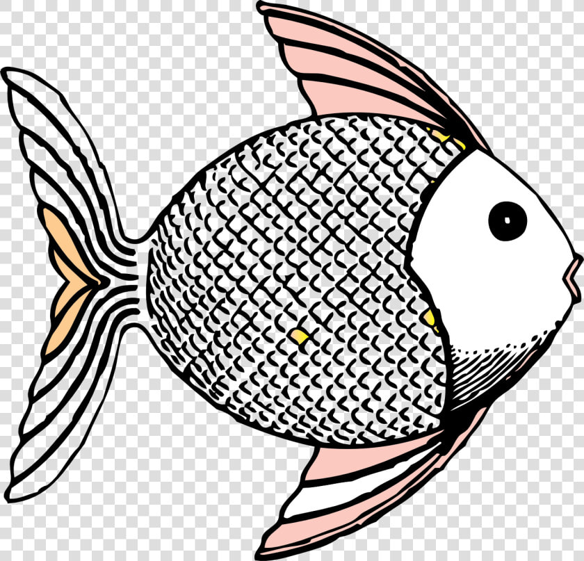 Pike Fish Clipart Picture Royalty Free Stock Fish   Fish Clip Art  HD Png DownloadTransparent PNG