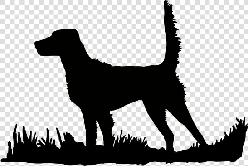 Dog Clipart Hunting English   Hunting Dog Silhouette  HD Png DownloadTransparent PNG