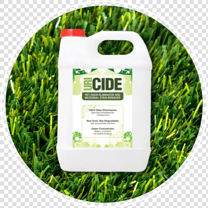 Uri cide   Lawn  HD Png DownloadTransparent PNG