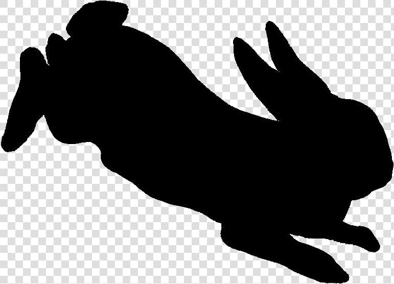 Shaow Clipart Rabbit   Rabbit Jumping Silhouette Png  Transparent PngTransparent PNG