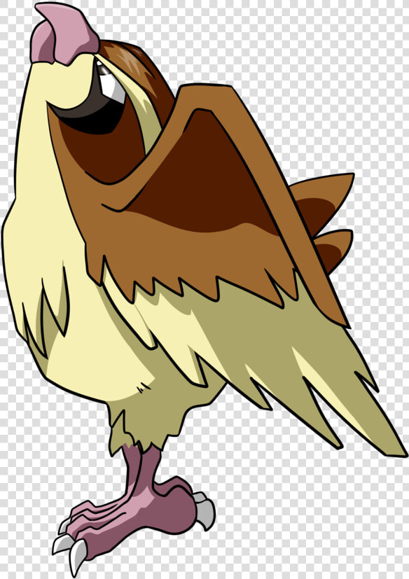 Pidgey Png   Pidgey Png   Pidgey Png  Transparent PngTransparent PNG